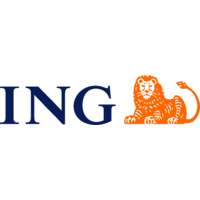 Alex Lordache, ING manager